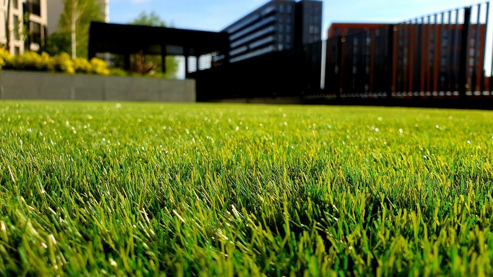 Real or Artificial? Battle of The Grasses